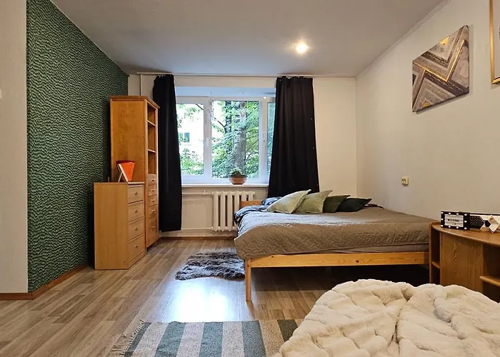 One Near Xiaomi Arena Apartment