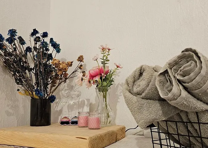 Apartment One Near Xiaomi Arena *