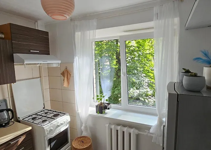 One Near Xiaomi Arena Apartment